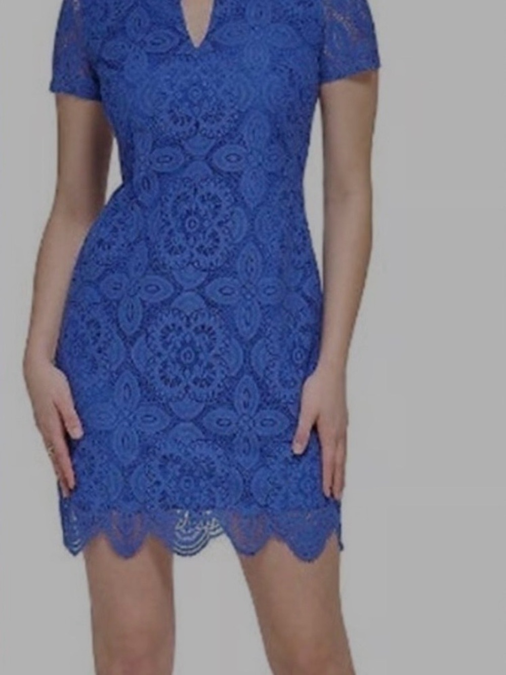 Kensie Blue Lace Short Sleeve Sheath Dress
